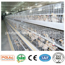 Pullet Netting/Chicken Wire Mesh/Pullet Farm Cage
